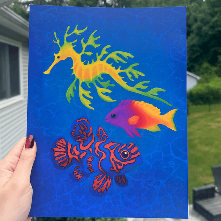 Untitled Untitled